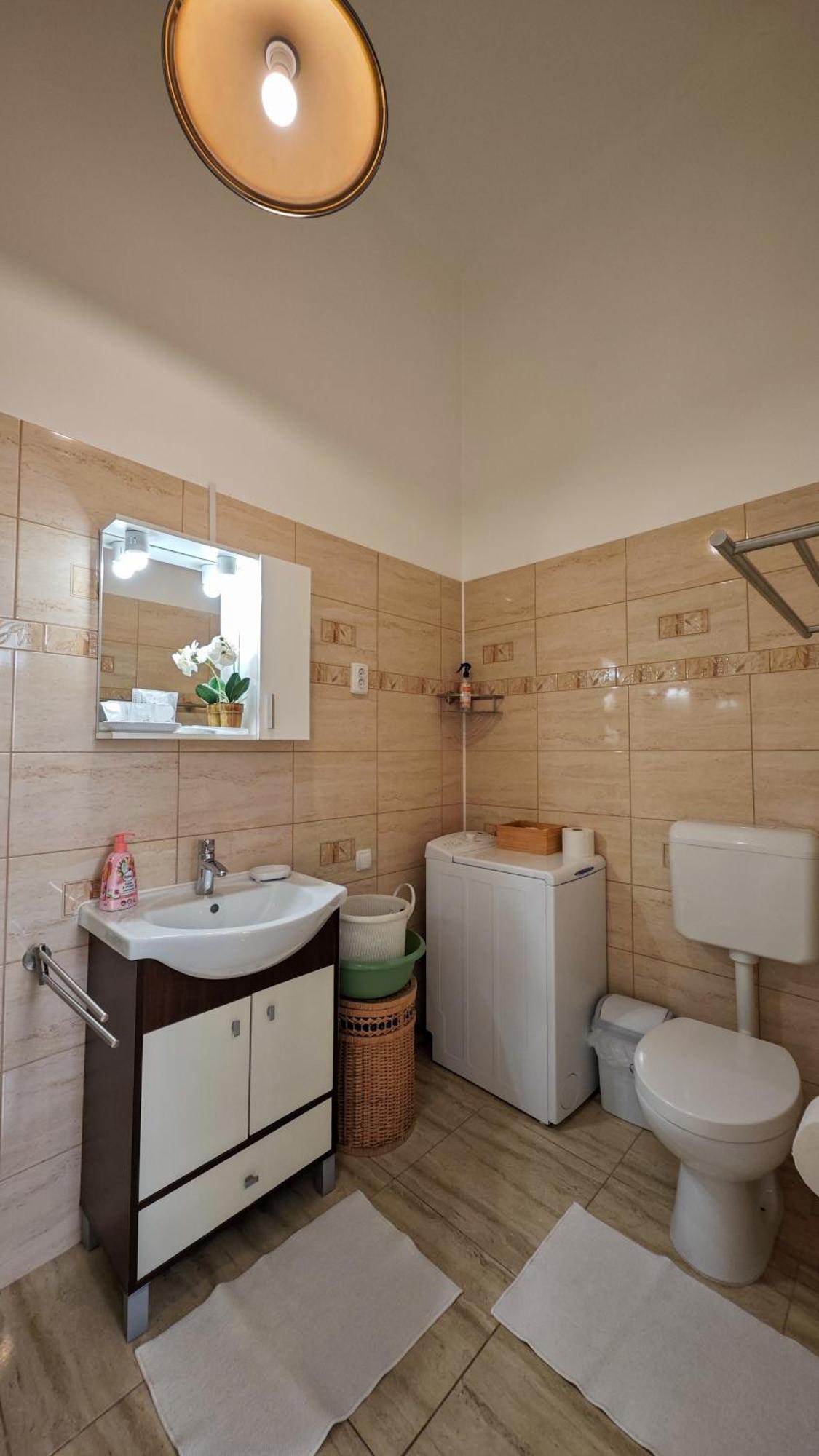 Neuhausz Residenz Ultra-Central Apartment Timisoara Exterior photo