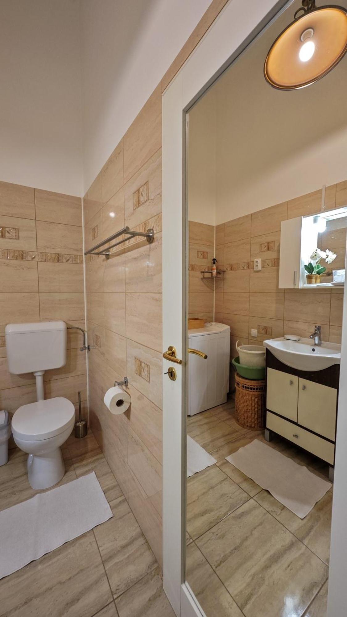 Neuhausz Residenz Ultra-Central Apartment Timisoara Exterior photo
